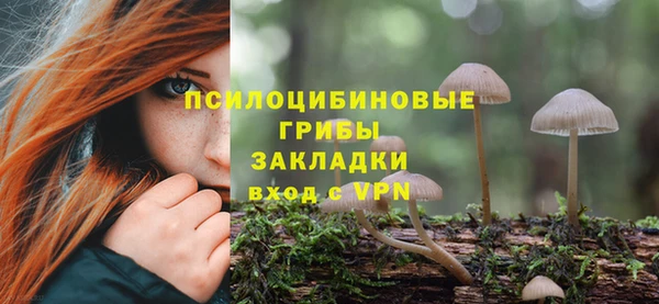 спайс Братск