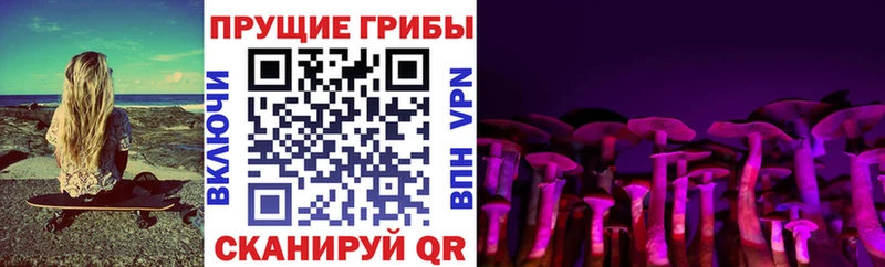 Псилоцибиновые грибы мухоморы  мориарти состав  Клинцы  закладки  OMG ТОР 