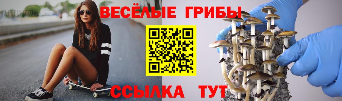 Галлюциногенные грибы мицелий  Псилоцибиновые грибы мицелий  Клинцы  Вход с VPN 