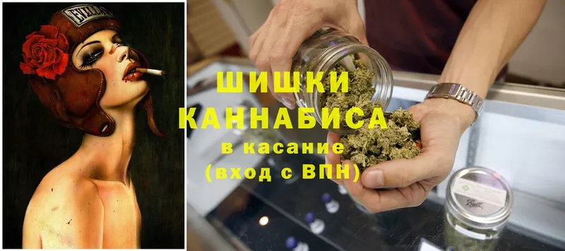 как найти   Клинцы  МАРИХУАНА SATIVA & INDICA 